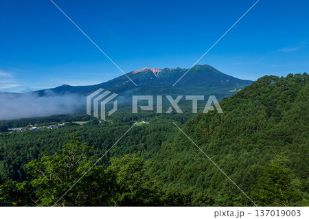 盛夏の御嶽山　長野県 木曽町 開田高原から 137019003