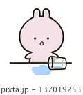水をこぼしたうさぎ 137019253