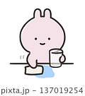 こぼした水を拭くうさぎ 137019254