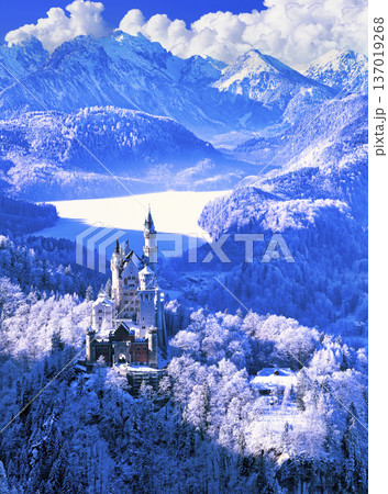 厳冬期のノイシュバンシュタイン城の絶景 137019268