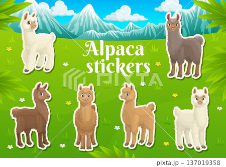 Cartoon llama and alpaca character stickers of funny lama animals, vector pack. Kids' stickers of cute baby llamas or alpacas with cheerful muzzle faces on green meadow lawn in snowy mountains 137019358