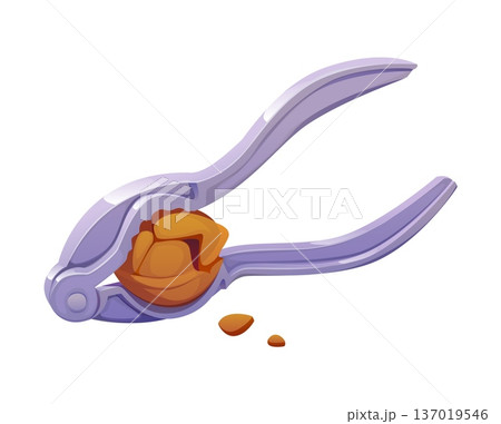 Nutcracker tool squeezing a walnut inside its metal jaws with small broken shell pieces below. Vector kitchen utensil with glossy surface and curved handles showing the cracking and cooking process 137019546