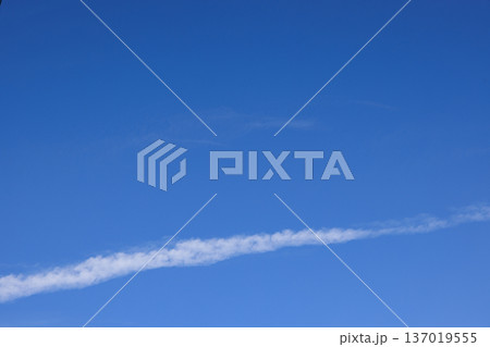 空 00202 空 00202 137019555