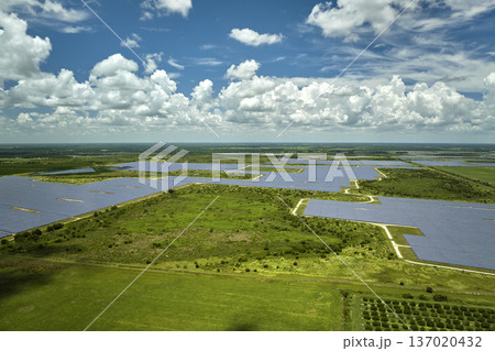 Aerial view of large sustainable electrical power plant with rows of solar photovoltaic panels for producing clean electric energy. Concept of renewable electricity with zero emission 137020432
