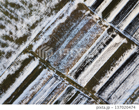 Top view of empty snowy and dark fields patched landscape on sunny winter day. Aerial drone photography concept. Top view of empty snowy and dark fields patched landscape on sunny winter day. Aerial drone photography concept. 137020474