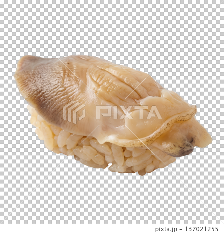 Sushi geoduck clam up nigiri seafood delicacy on rice closeup 137021255