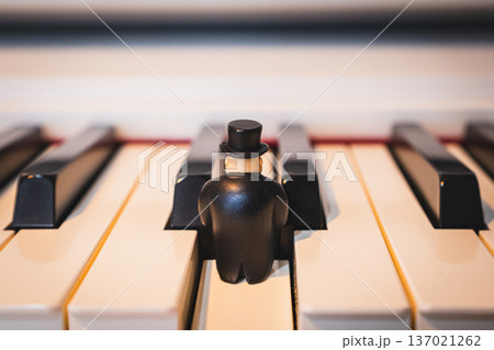 ピアノの鍵盤の上に座っている紳士 137021262