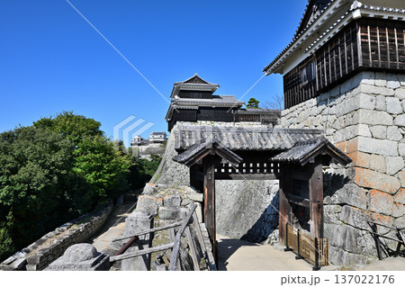 伊予国 「松山城」国宝現存天守閣と櫓群の様子 伊予国 「松山城」国宝現存天守閣と櫓群の様子 137022176