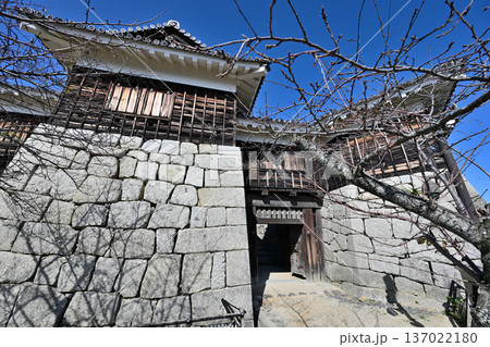 伊予国　「松山城」国宝現存天守閣と櫓群の様子 137022180