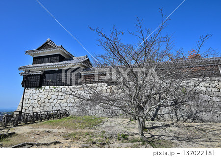 伊予国 「松山城」国宝現存天守閣と櫓群の様子 伊予国 「松山城」国宝現存天守閣と櫓群の様子 137022181