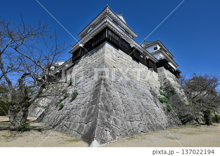 伊予国　「松山城」国宝現存天守閣と櫓群の様子 137022194
