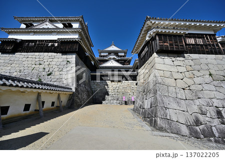 伊予国 「松山城」国宝現存天守閣と櫓群の様子 伊予国 「松山城」国宝現存天守閣と櫓群の様子 137022205