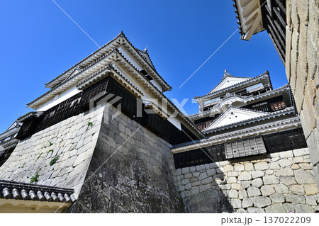 伊予国 「松山城」国宝現存天守閣と櫓群の様子 伊予国 「松山城」国宝現存天守閣と櫓群の様子 137022209