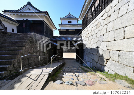 伊予国　「松山城」国宝現存天守閣と櫓群の様子 137022214