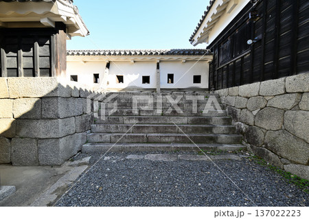 伊予国 「松山城」国宝現存天守閣と櫓群の様子 伊予国 「松山城」国宝現存天守閣と櫓群の様子 137022223