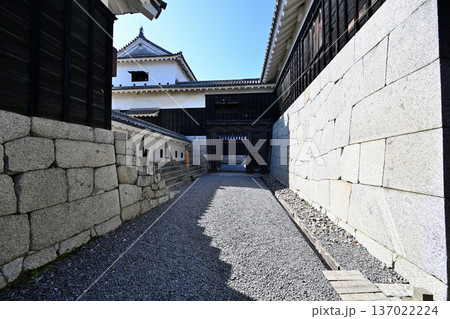 伊予国　「松山城」国宝現存天守閣と櫓群の様子 137022224