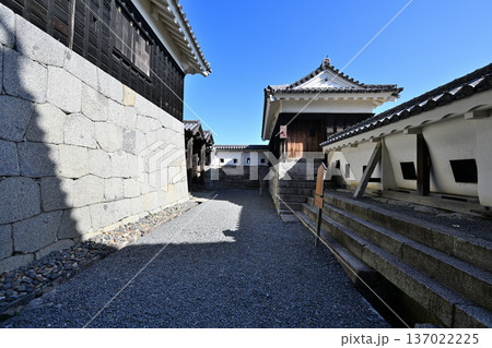 伊予国 「松山城」国宝現存天守閣と櫓群の様子 伊予国 「松山城」国宝現存天守閣と櫓群の様子 137022225