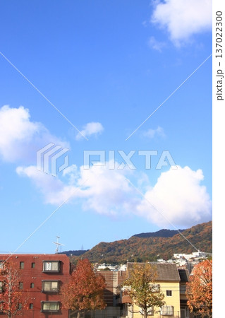 紅葉した山が背後にある日本の住宅地(縦長) 紅葉した山が背後にある日本の住宅地(縦長) 137022300