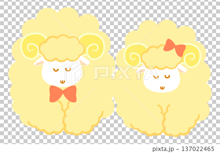 A pair of male and female sheep bowing. A cute yellow sheep pair greeting each other in a friendly manner. 137022465