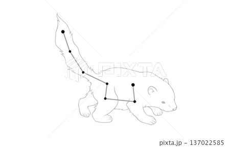 こぐま座のモノクロ線画イラスト(小熊の絵と星座線) こぐま座のモノクロ線画イラスト(小熊の絵と星座線) 137022585