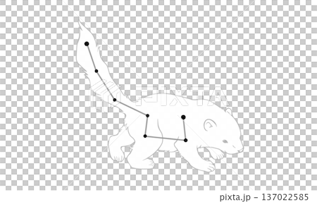 Monochrome line drawing of Ursa Minor (picture of a little bear and constellation lines) 137022585