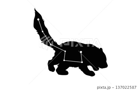 こぐま座のシルエットイラスト(小熊の絵と星座線) こぐま座のシルエットイラスト(小熊の絵と星座線) 137022587