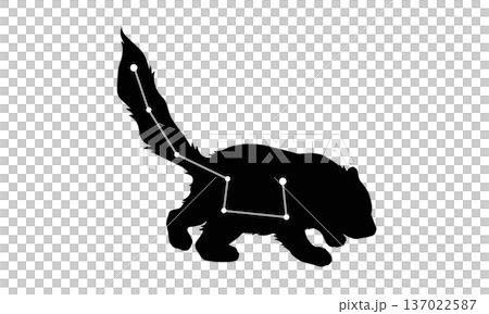 こぐま座のシルエットイラスト(小熊の絵と星座線) こぐま座のシルエットイラスト(小熊の絵と星座線) 137022587