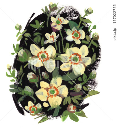 Decorative botanical illustration of garden anemones in a naive storybook style 137022786