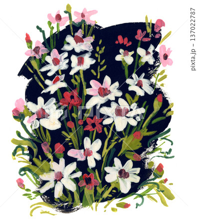 Hand-painted illustration of blooming cosmos flowers for greeting cards and decorative designs. 137022787