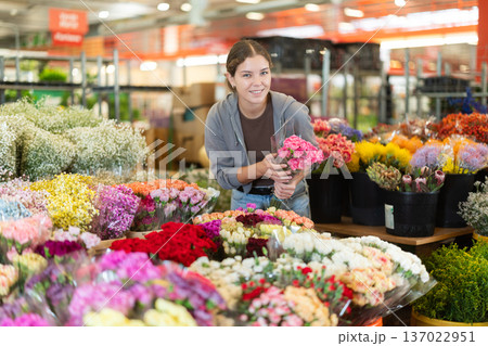 Female customer chooses a bouquet of carnations in flower shop Female customer chooses a bouquet of carnations in flower shop 137022951