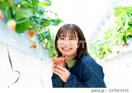 イチゴ狩りをする女性　いちご狩りをする女性 137023553