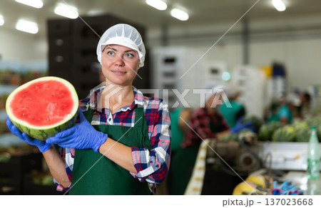 Positive woman farmer holding ripe watermelon near sorting conveyor, proud of good quality of product Positive woman farmer holding ripe watermelon near sorting conveyor, proud of good quality of product 137023668
