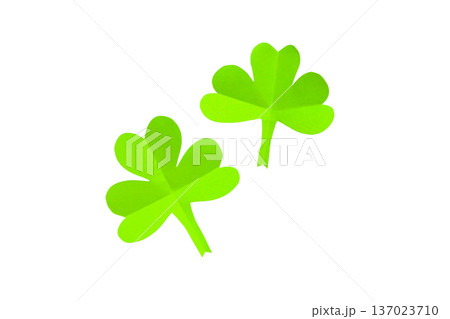 Two green shamrocks on a white background, isolated, PNG 137023710