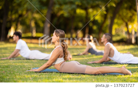 Girl performing Cobra Pose during group yoga training in park Girl performing Cobra Pose during group yoga training in park 137023727