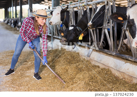 Portrait of female farm worker feeding cows 137024230