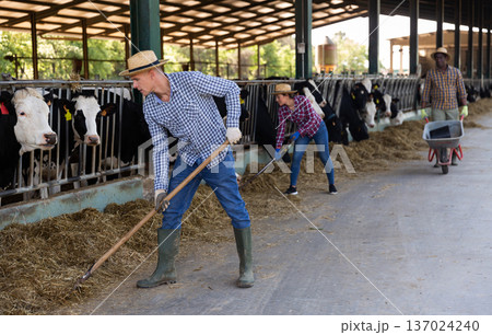 Group of proffesional farmers working on dairy farm Group of proffesional farmers working on dairy farm 137024240