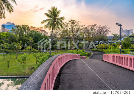 Pink concrete bridge crosses a pond in Chatuchak Park under a sunset sky during the seasonal bloom of trumpet trees Pink concrete bridge crosses a pond in Chatuchak Park under a sunset sky during the seasonal bloom of trumpet trees 137024261