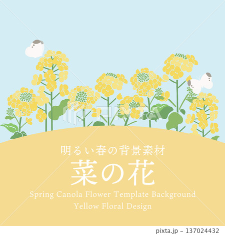 テキスタイル風・菜の花のベクターイラストテンプレート|春の花背景・和モダンデザイン素材 テキスタイル風・菜の花のベクターイラストテンプレート|春の花背景・和モダンデザイン素材 137024432