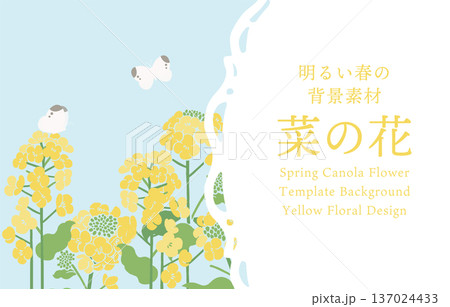 テキスタイル風・菜の花のベクターイラストテンプレート|春の花背景・和モダンデザイン素材 テキスタイル風・菜の花のベクターイラストテンプレート|春の花背景・和モダンデザイン素材 137024433