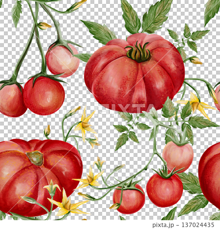 Seamless watercolor pattern with ripe red tomatoes, green leaves and yellow blossoms. Hand painted botanical illustration with garden vegetables isolated on light background, natural food design. High 137024435