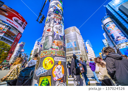 日本の東京都市景観復活ステッカー…インバウンドが続く渋谷。ほとんどが外国人観光客＝令和8年2月21日 137024526