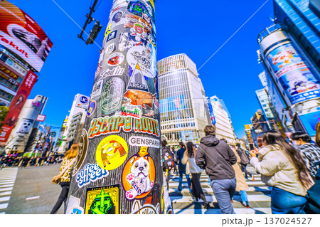 日本の東京都市景観復活ステッカー…インバウンドが続く渋谷。ほとんどが外国人観光客＝令和8年2月21日 137024527