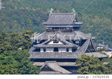 島根県 国宝天守閣 出雲国 松江城 島根県 国宝天守閣 出雲国 松江城 137024530