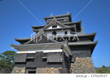 島根県 国宝天守閣 出雲国 松江城 島根県 国宝天守閣 出雲国 松江城 137024537