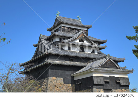 島根県 国宝天守閣 出雲国 松江城 島根県 国宝天守閣 出雲国 松江城 137024570