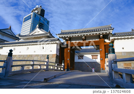 駿府城 東御門 静岡市 駿府城 東御門 静岡市 137024608