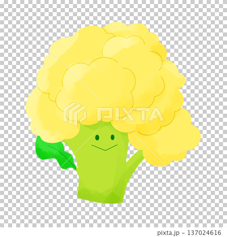 蓬鬆的黃色蔬菜 | 黃花椰菜 137024616