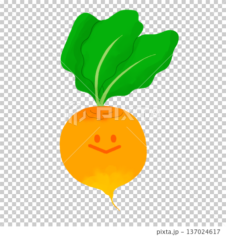 嫩黃色蔬菜 | 黃甜菜 137024617