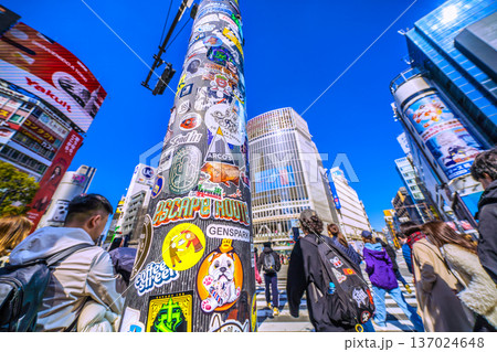 日本の東京都市景観復活ステッカー…インバウンドが続く渋谷。ほとんどが外国人観光客＝令和8年2月21日 137024648