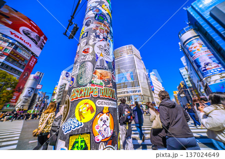 日本の東京都市景観復活ステッカー…インバウンドが続く渋谷。ほとんどが外国人観光客＝令和8年2月21日 137024649